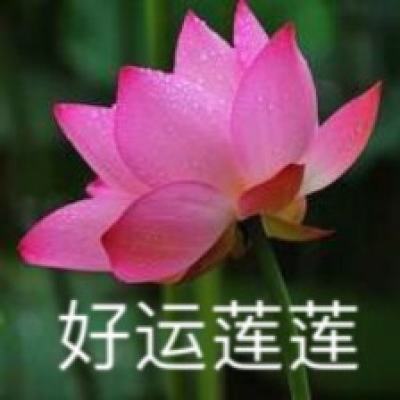 妖怪乙女游戏下载